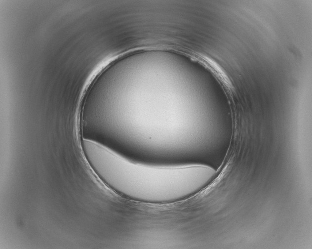 X0000115511196200911201632