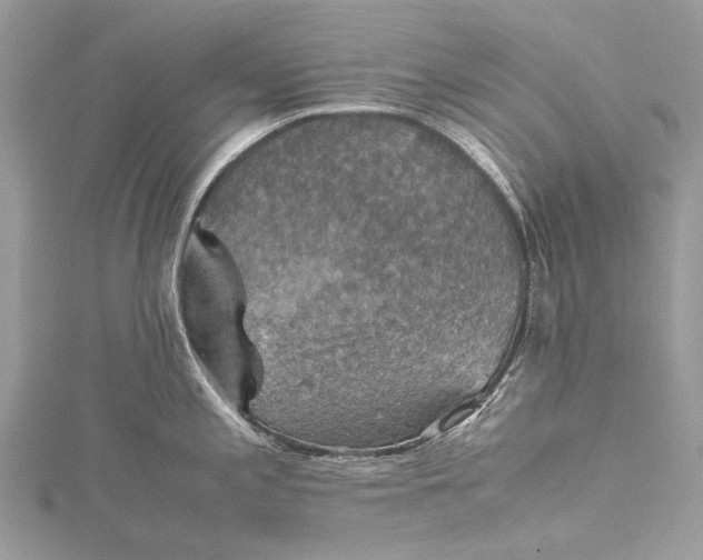 X0000115511197200911201632