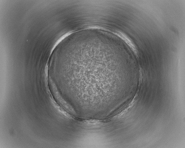 X0000115511198200911201632