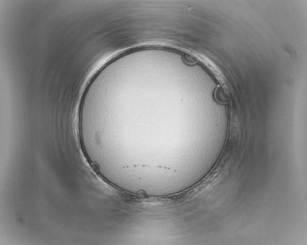 X0000115511199200911201632