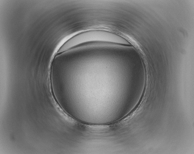 X0000115511200200911201632