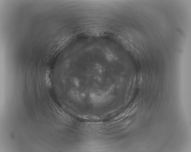 X0000115511202200911201632