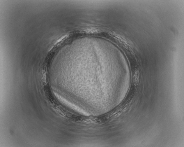 X0000115511205200911201632