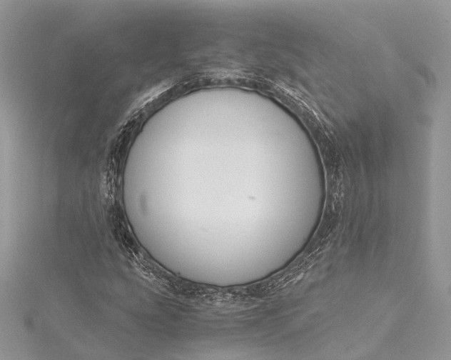 X0000115511207200911201632