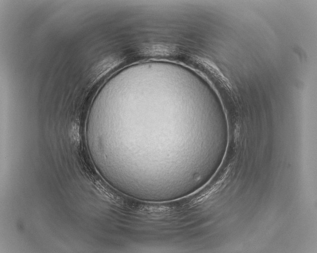 X0000115511209200911201632