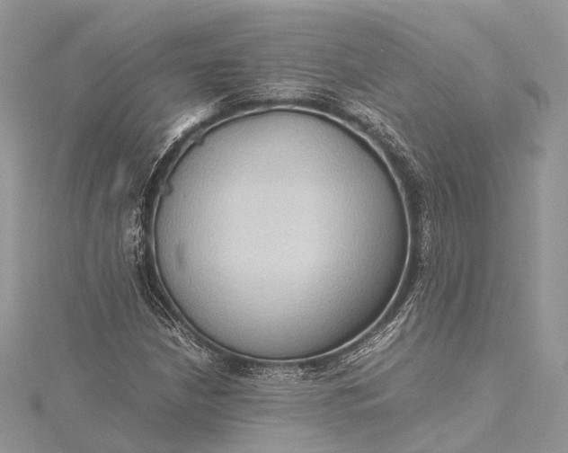 X0000115511210200911201632