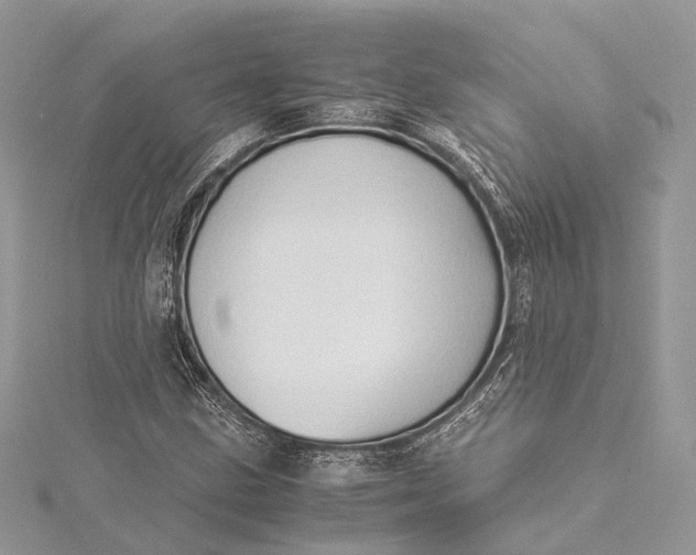 X0000115511211200911201632