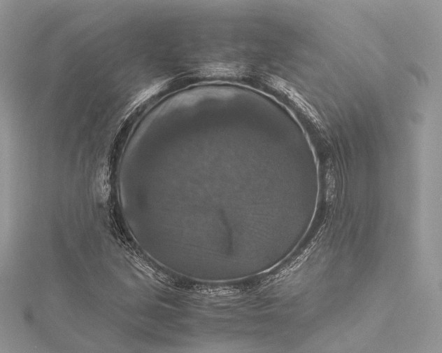 X0000115511213200911201632