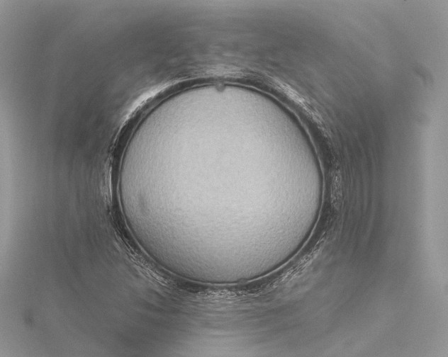 X0000115511214200911201632