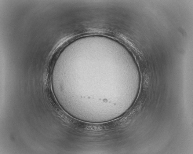 X0000115511215200911201632