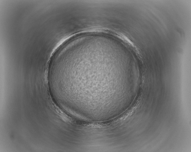 X0000115511216200911201632