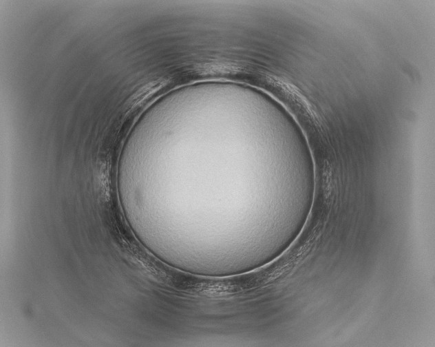 X0000115511217200911201632