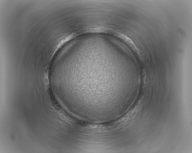 X0000115511218200911201632