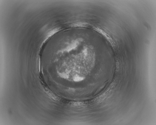 X0000115511219200911201632