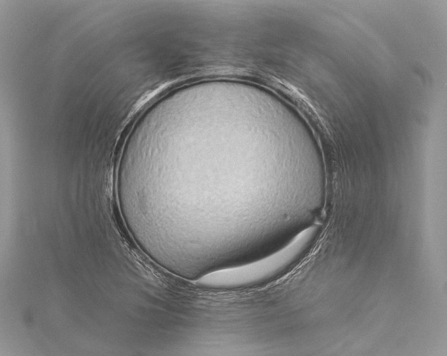 X0000115511220200911201632