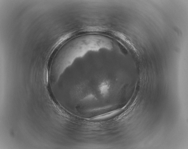 X0000115511221200911201632