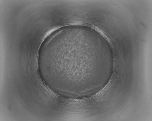 X0000115511222200911201632