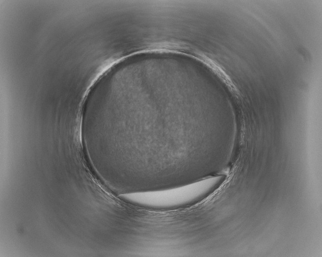 X0000115511224200911201632