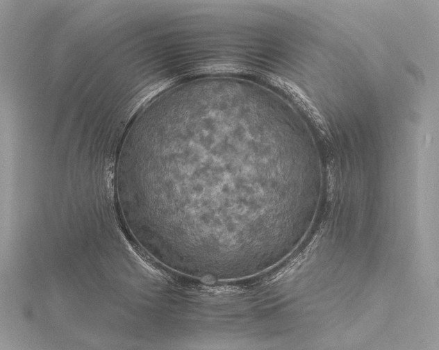 X0000115511225200911201632