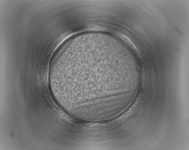 X0000115511228200911201632