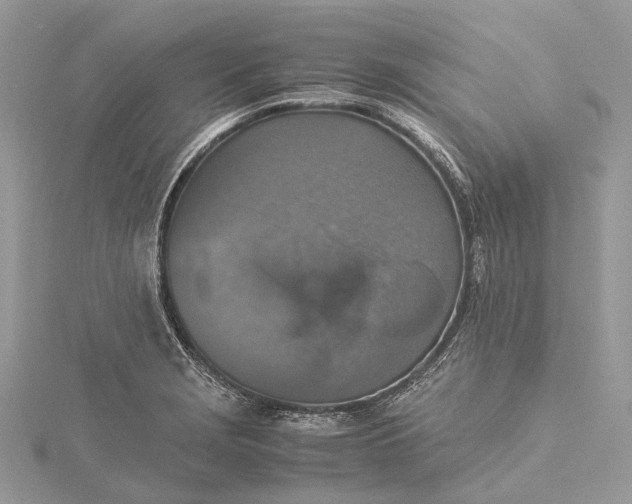 X0000115511229200911201632