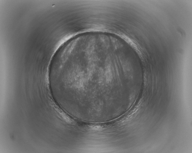 X0000115511230200911201632