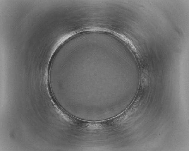 X0000115511231200911201632