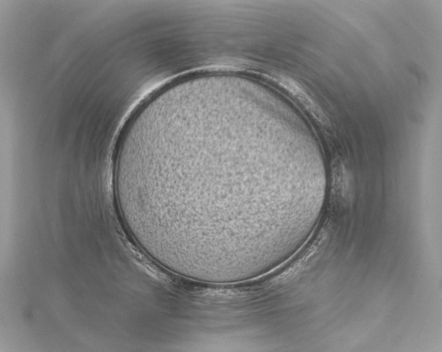 X0000115511232200911201632