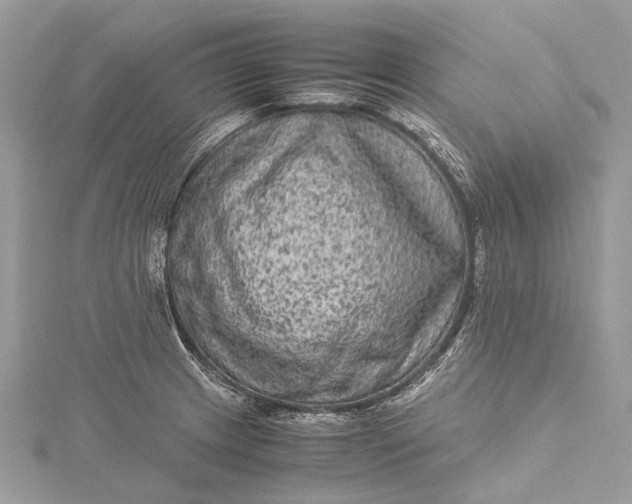 X0000115511233200911201632