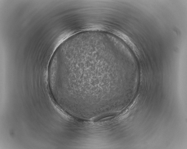 X0000115511234200911201632