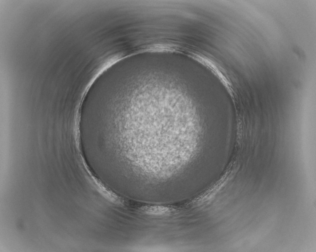 X0000115511235200911201632