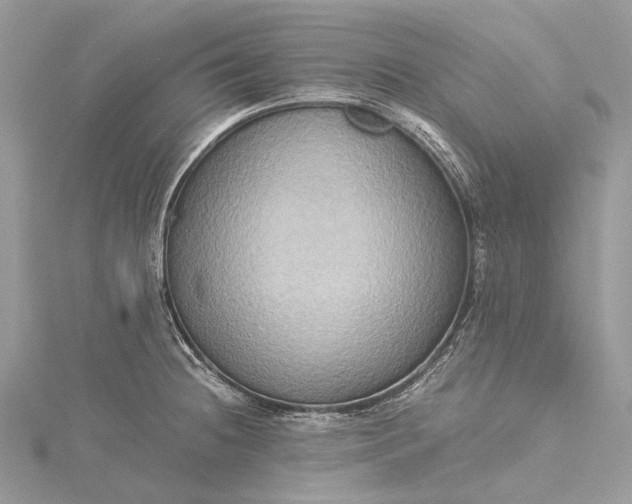 X0000115511236200911201632