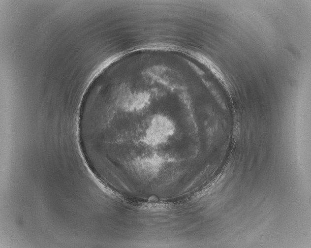 X0000115511237200911201632