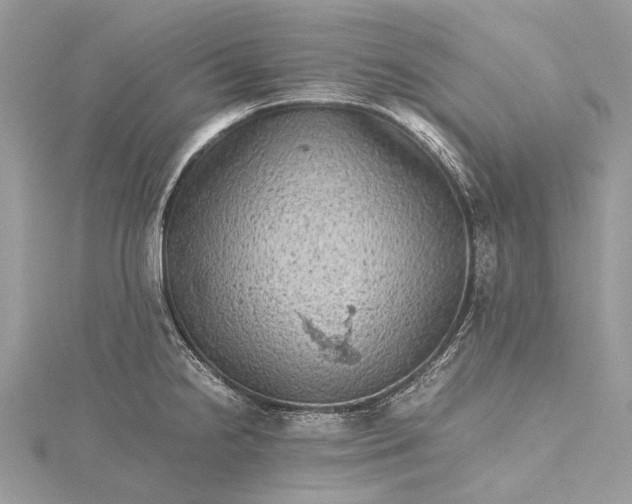 X0000115511238200911201632