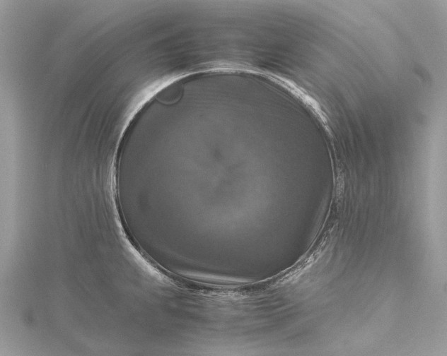 X0000115511239200911201632