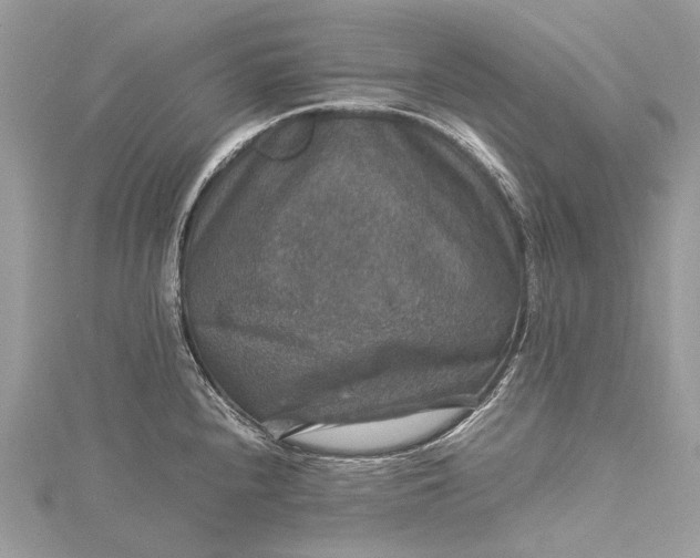 X0000115511240200911201632