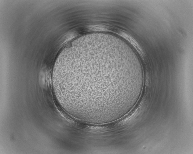 X0000115511241200911201632