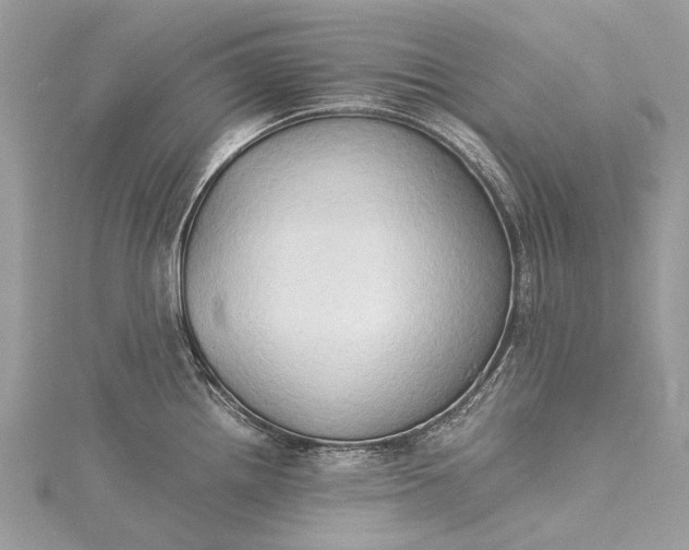 X0000115511242200911201632