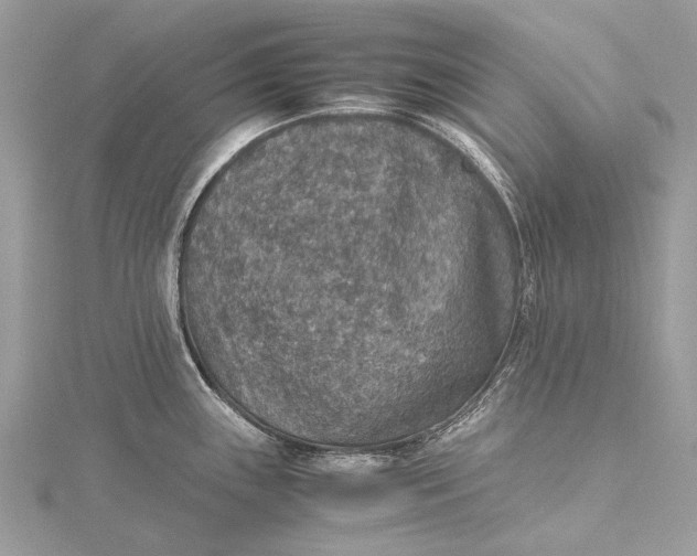 X0000115511243200911201632