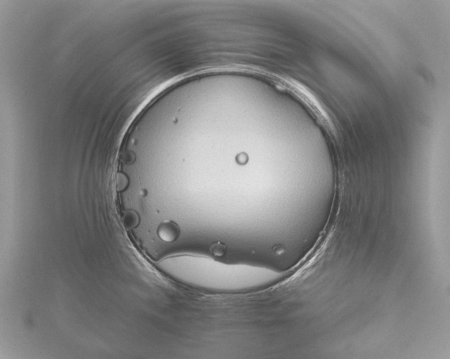 X0000115511244200911201632