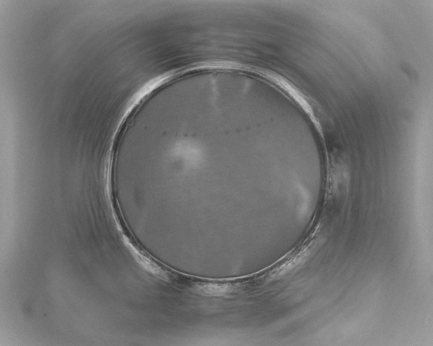 X0000115511245200911201632