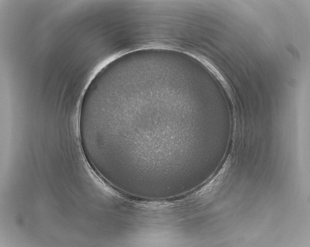 X0000115511246200911201632