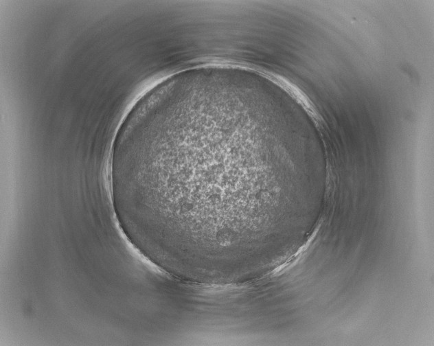 X0000115511247200911201632