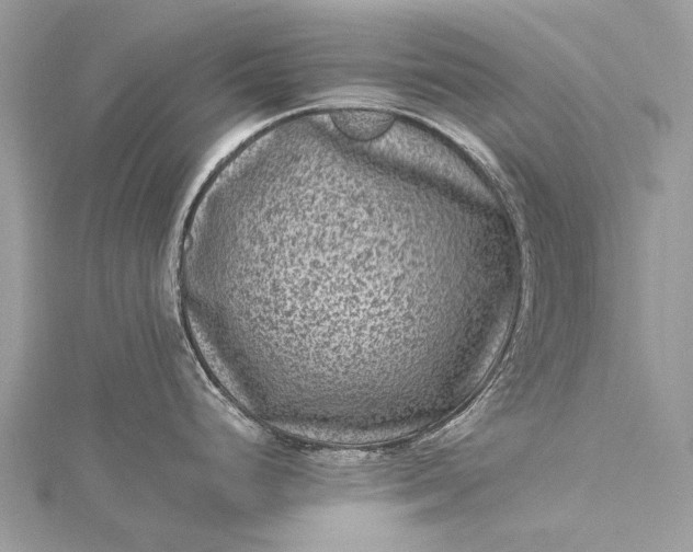 X0000115511248200911201632