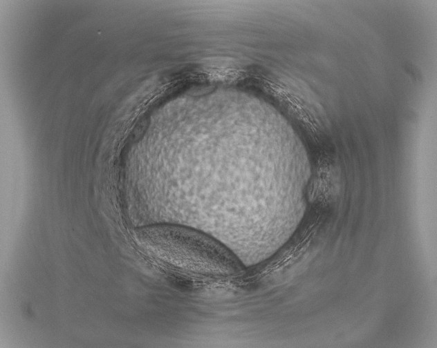 X0000115511249200911201632