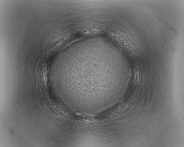 X0000115511250200911201632