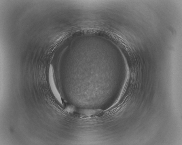 X0000115511252200911201632