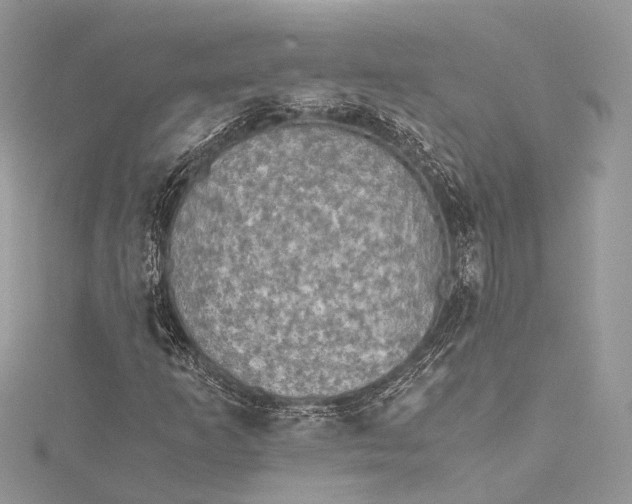 X0000115511253200911201632