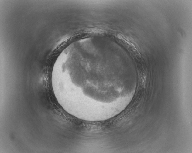 X0000115511254200911201632