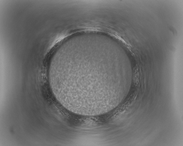 X0000115511255200911201632